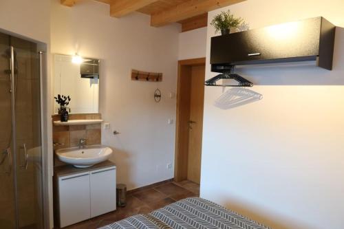 La salle de bains est pourvue d'un lavabo, de toilettes et d'un miroir. dans l'établissement Chalet Giusto, à Kötschach-Mauthen