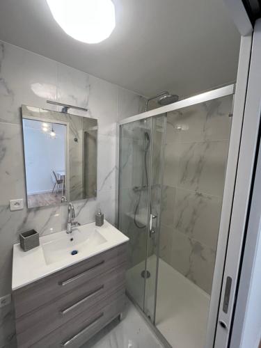 une salle de bain avec un lavabo, une douche et un miroir dans l'établissement CASA TROTTEL 2, à Ajaccio
