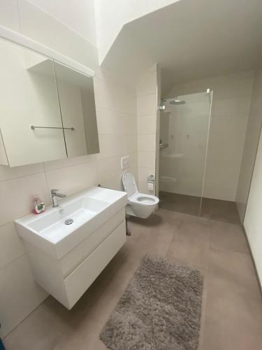 La salle de bains blanche est pourvue d'un lavabo et de toilettes. dans l'établissement Minergie, à Rickenbach