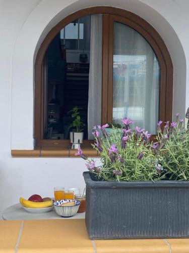 a window with a pot of flowers on a table at Beachfront House Pythagorion in Pythagoreio