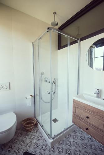a bathroom with a shower and a toilet and a sink at Domaine du lion rouge Piscine et Spa in Coucy-le-Château-Auffrique