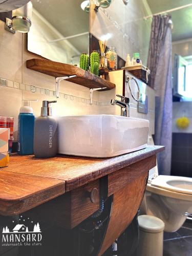 a bathroom with a sink on a wooden counter at Mansard underneath the stars in Pripek