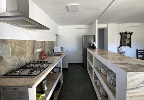Kuchyňa alebo kuchynka v ubytovaní VIVIENDA RURAL LOS OJALVOS