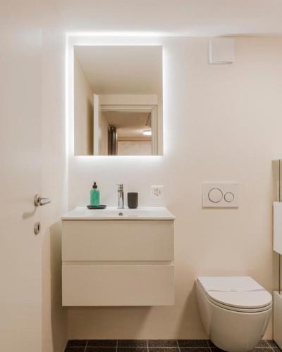 a bathroom with a sink and a toilet and a mirror at Relais Flora Arzo Appartamento superior di vacanza con posteggio in Mendrisio