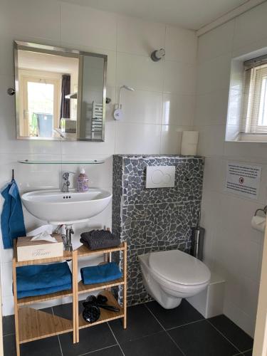 a bathroom with a sink and a toilet at Appartement Zandwerven 23 in Spanbroek