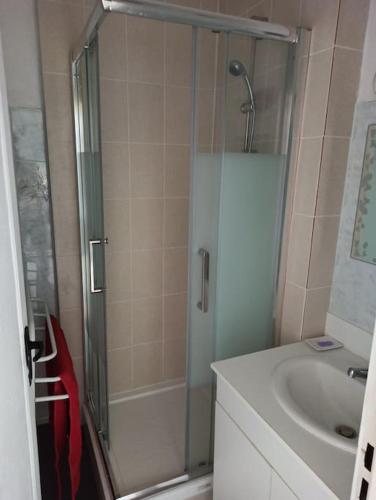 une salle de bain avec douche et lavabo dans l'établissement Cabourg: Petit F2 proche hippodrome., à Cabourg