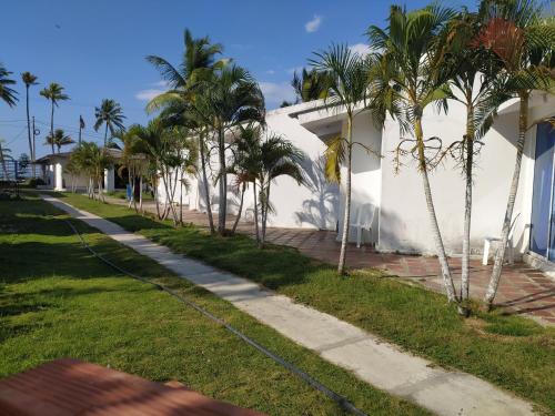 a street with palm trees next to a white house at COVEÑAS ECOREAL in Coveñas