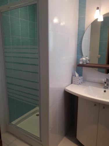 ein Bad mit einer Dusche, einem Waschbecken und einem Spiegel in der Unterkunft LES GRIVES in Cotignac