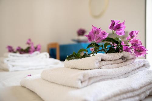un mucchio di asciugamani con una pianta in vaso di Hotel Vittoria a San Felice Circeo