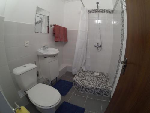 a bathroom with a shower and a toilet and a sink at Evropa Hotel in Bosteri