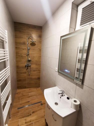 a bathroom with a sink and a shower at Petőfi Apartment in Miercurea-Ciuc