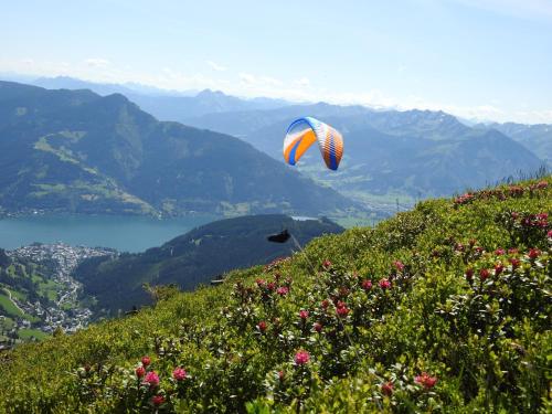 une personne volant un cerf-volant sur une colline avec des fleurs dans l'établissement Pension Alpenrose, à Zell am See