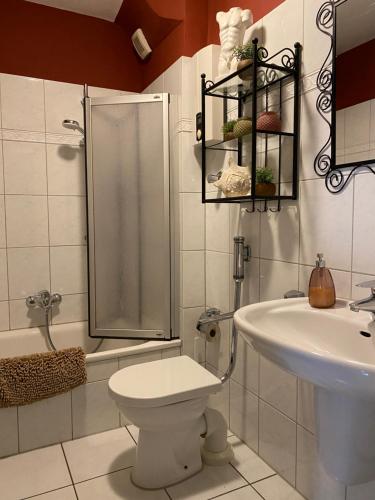 エッセンにあるgroßzügige Monteurwohnungのバスルーム(シャワー、トイレ、シンク付)