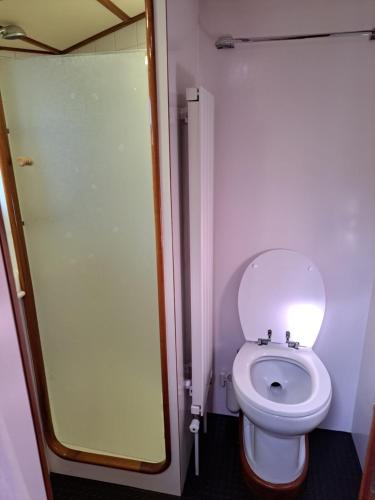 een badkamer met een toilet en een glazen douche bij MSBULL in Bruinisse