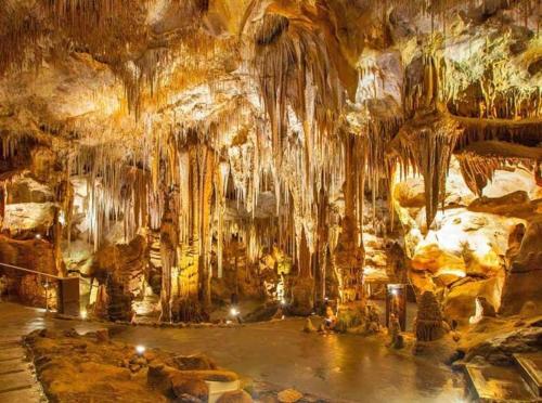 度假屋周边自然景观