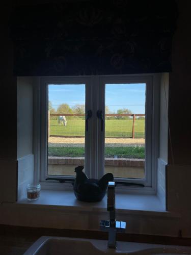 uma janela sobre um lavatório com um cavalo no campo em The Hayloft em Gestingthorpe