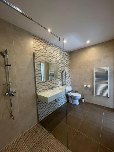 ein Bad mit einer Dusche, einem Waschbecken und einem WC in der Unterkunft Casa Rural Don Fernando in Los Molinos