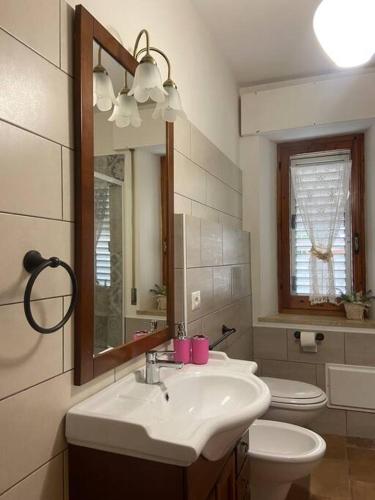 a bathroom with a sink and a toilet and a mirror at Su Murcone Appartamento Baunei in Baunei