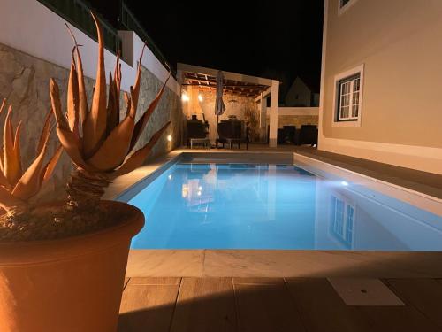 a swimming pool at night with a potted plant next to it at Ocean Country Guest House Freiria in Freiria