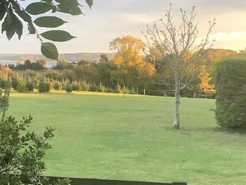 un campo verde con un albero al centro di Cotswold edge guest suite with Broadway Hill view a Badsey