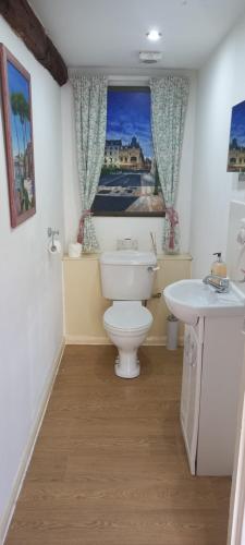 a bathroom with a toilet and a sink at Plumpton Barn in Ashford