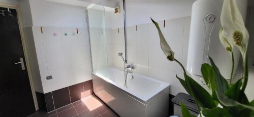 Kúpeľňa v ubytovaní Apartment Petra Pekica