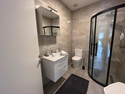 uma casa de banho com um WC, um lavatório e um chuveiro em Apartment Tilia em Otočac