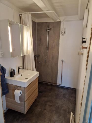 a bathroom with a sink and a shower at Roligheten Lodge in Andenes in Andenes