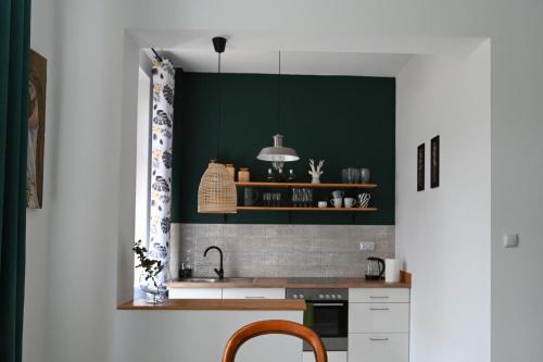 a kitchen with green walls and a counter with a sink at Apartament Niezapominajka in Głuchołazy