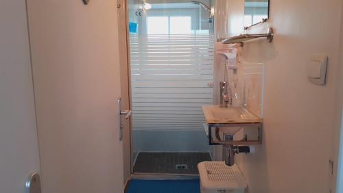 a bathroom with a shower and a sink at La Beuvrequentoise 2 in Beuvrequen