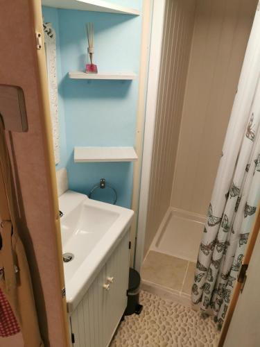 une salle de bain avec un lavabo blanc et une douche dans l'établissement Mobil Home 
