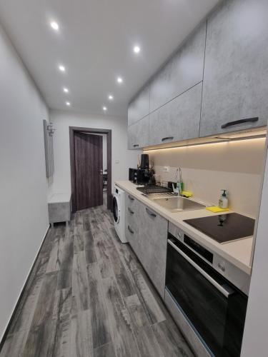 Η κουζίνα ή μικρή κουζίνα στο Apartment's Ortakchiev