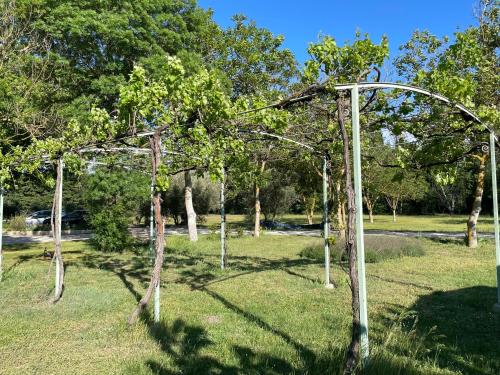 a group of trees in a park with a pole at Le Mas d’Aloha in Plan-dʼOrgon