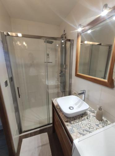 a bathroom with a shower and a sink at L'Ansolane in Fuveau