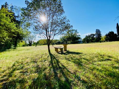 a tree and a bench in a field at Le Mas d’Aloha in Plan-dʼOrgon