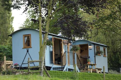 a blue tiny house in a field next to a tree at Upper Gelli Luxury Holiday Lodge, Converted Dairy & Cosy Shepherds Huts in Welshpool