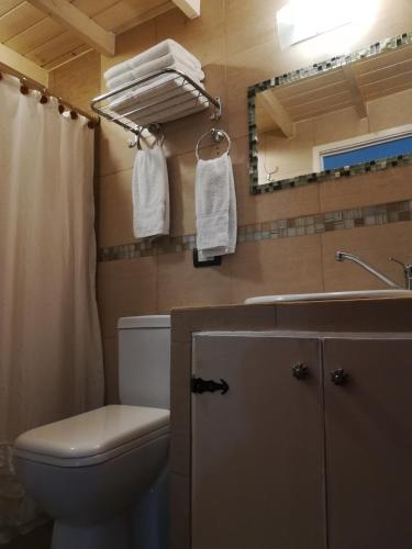 a bathroom with a toilet and a sink and a mirror at HOTEL Boutique Casablanca Adrogué in Adrogué