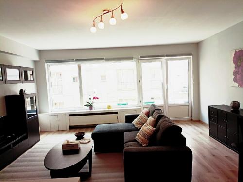 - un salon avec un canapé et une grande fenêtre dans l'établissement Cozy 2 bedroom apartment - metro Montgomery, à Bruxelles
