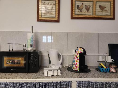 un bancone cucina con tostapane e forno a microonde di Quinta dos Chorões a São Vicente Ferreira