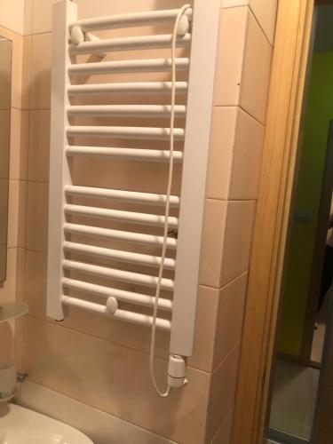 a shower head in a bathroom with a toilet at Apartman Tanjuška in Podgorica