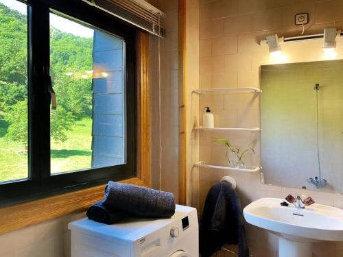 bagno con lavandino, servizi igienici e finestra di Dúplex abuhardillado con vistas y parking a Vielha