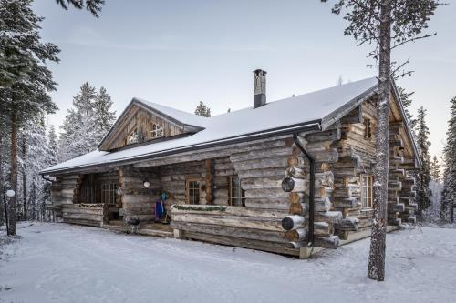 Levikaira Apartments - Log Cabins v zimě