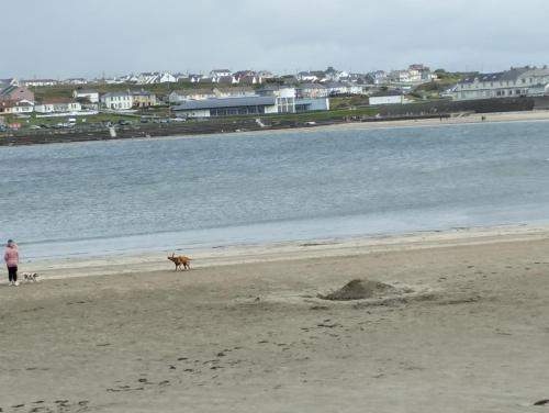 Příroda nedaleko prázdninového domu