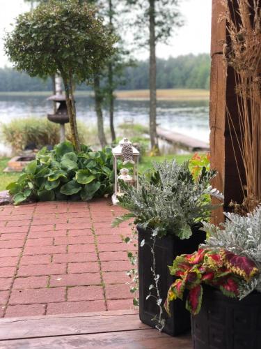 Taman di luar Sodyba Paukščių Takas
