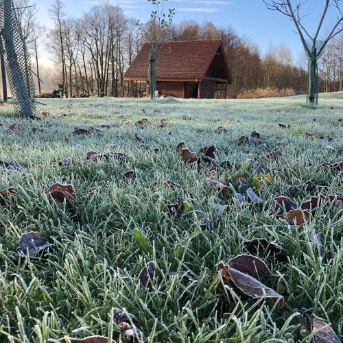 Taman di luar Sodyba Paukščių Takas