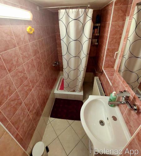 een badkamer met een wastafel en een douche bij Studio apartman Dolenac in Zagreb