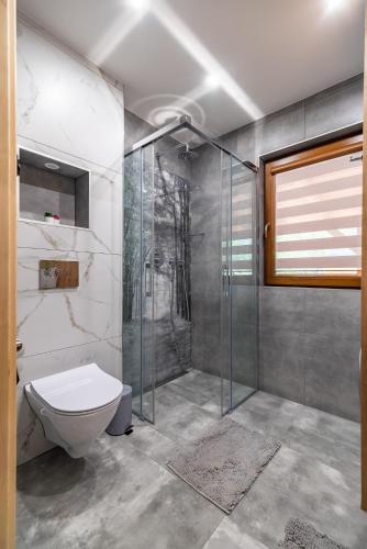 a bathroom with a glass shower and a toilet at Wielewska Ostoja in Wiele