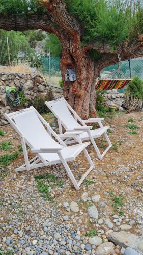 two white chairs sitting next to a tree at Little Blue in Káto Zákros