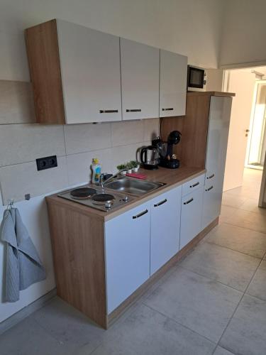 Dapur atau dapur kecil di Mala Smokva Apartments Vir Prezida