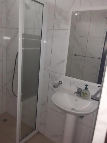 Ribeira Grande的住宿－CASA MINGA & TATOL，浴室配有盥洗盆和带镜子的淋浴